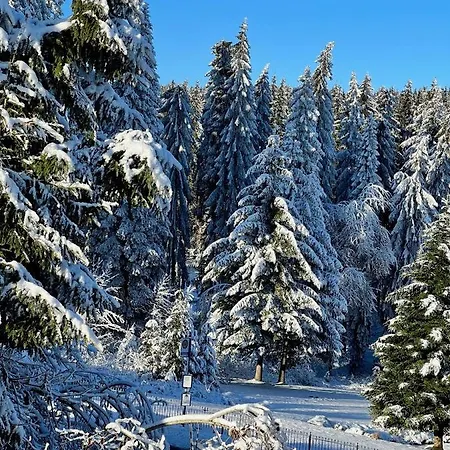 Apartamento Winterspot